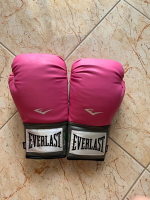 Everlast boxing gloves new
