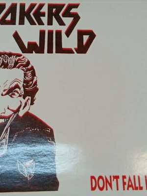 Jokers Wild Don't's Fall In Love 7'' vinyl used, melodic hard rock