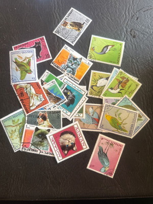 Vintage stamps collection with cats and birds new