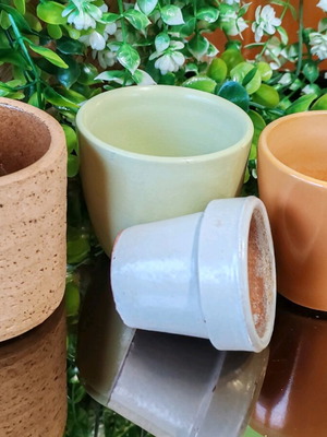 Succulent pots set new