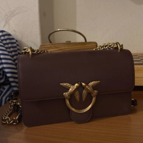 Pinko bag new, brown and red