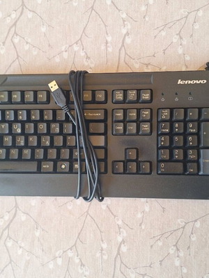 Lenovo Wired Keyboard KU-0225 and Optical Mouse Set like new