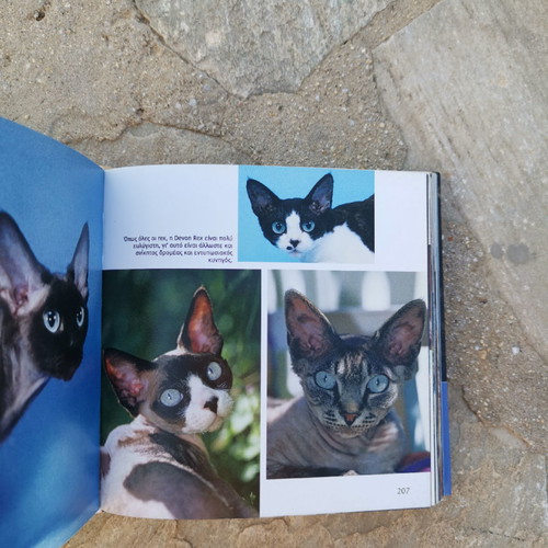 Book 1001 Cats without damage