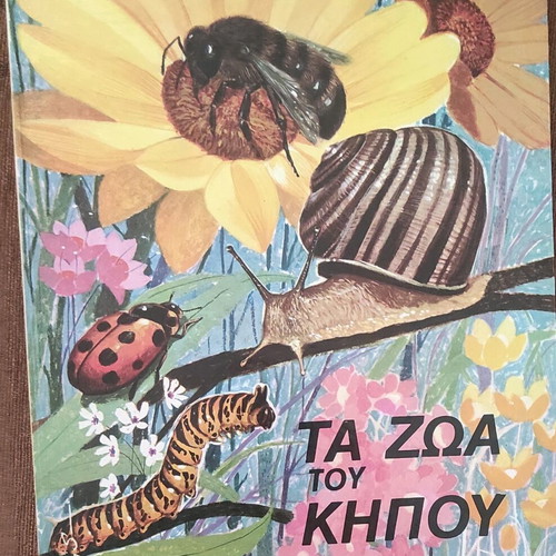 Children's book set about animals, pack of 6