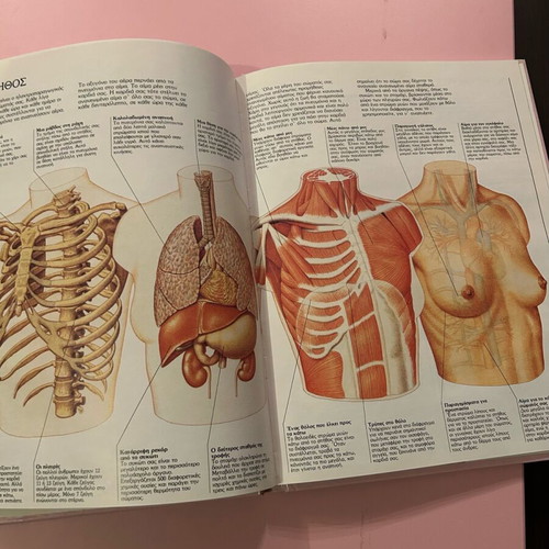 The Body And How It Works used educational book