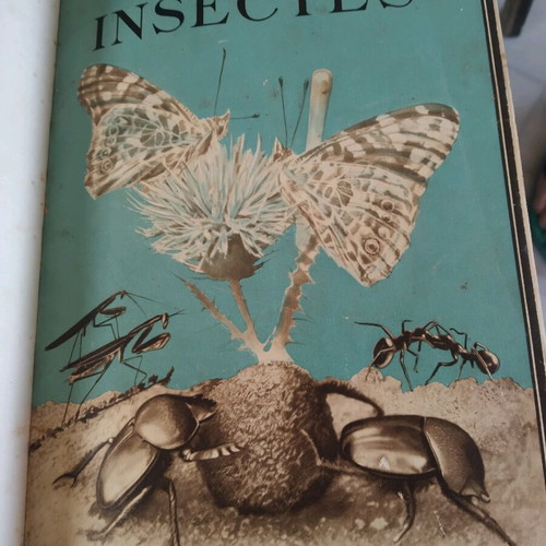 Insectes book by Jean, illustrated, 430 pages, 1950