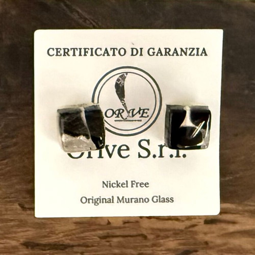 Murano earrings new with Murano stone