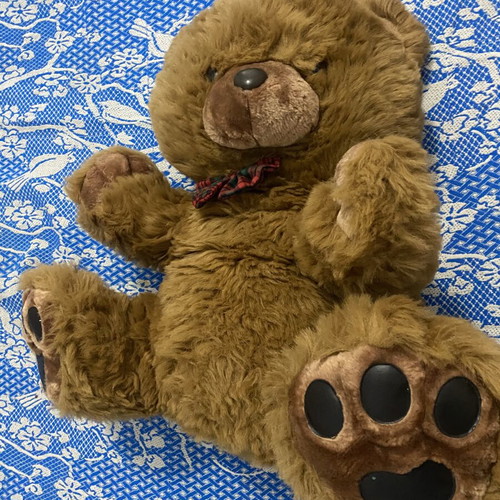 Brown teddy bear medium size like new