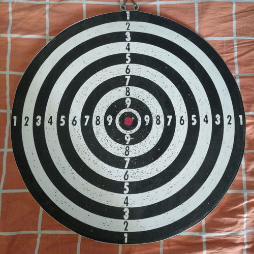 Bull's Darts targets and darts used