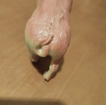 Pig miniature used, hard plastic