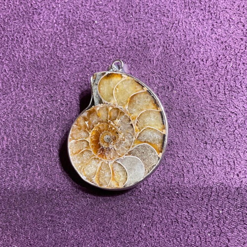 Ammonite pendant new
