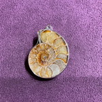Ammonite pendant new