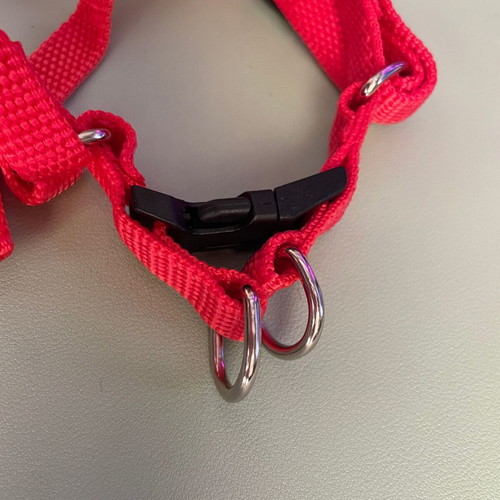 Simple red dog harness new, adjustable 1.5 cm width