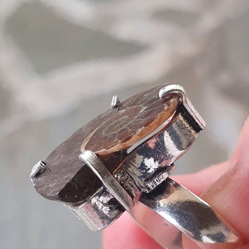 Ring with Fossilised Ammonite Size USA 6.5 Silver Plated New