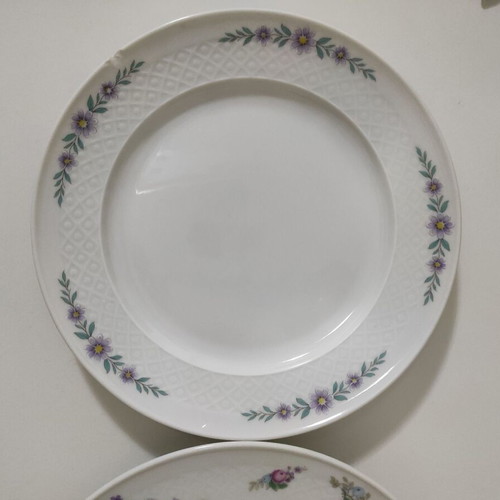 Seltmann Weiden Bavaria plates used, set of 2 pieces