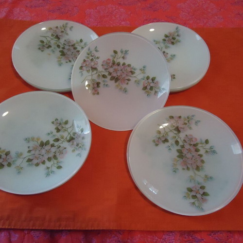 Glass plates new, set of 12 dessert plates