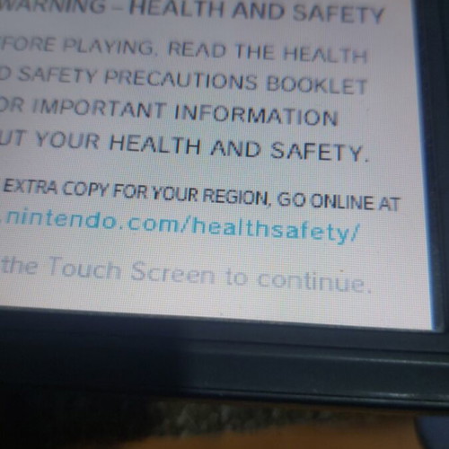 Nintendo DS Lite console