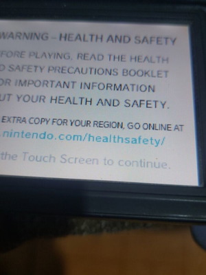 Nintendo DS Lite console