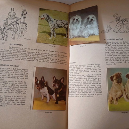 Sticker album used with dog stickers, 50 pages, 80 total