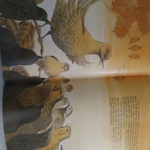 Children's book The restless sparrow used