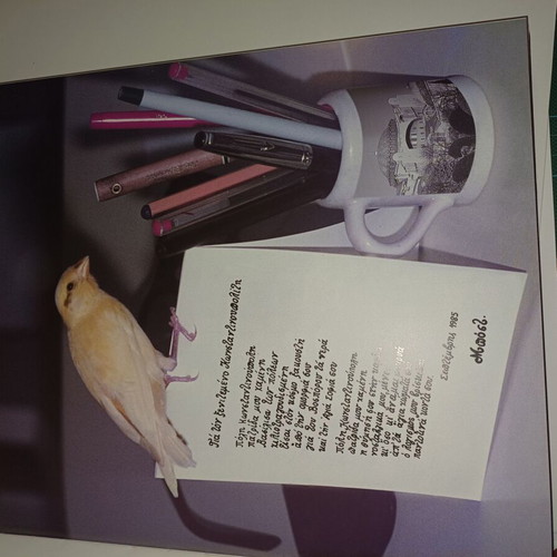 Odoiporiko stin Pikri Patrida bilingual photo book by Platon Maximos