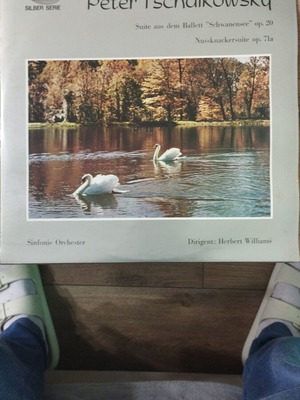 Peter Tchaikowsky Vinyl record used, classical music