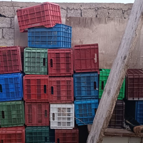 Olive crates used, pack of around 80 pieces