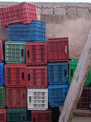 Olive crates used, pack of around 80 pieces