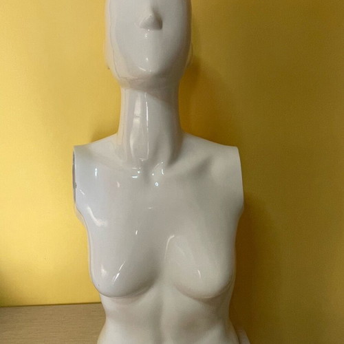 Mannequin torso used