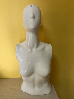 Mannequin torso used
