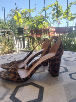 Diamantique leopard black suede sandals with thick heel, like new