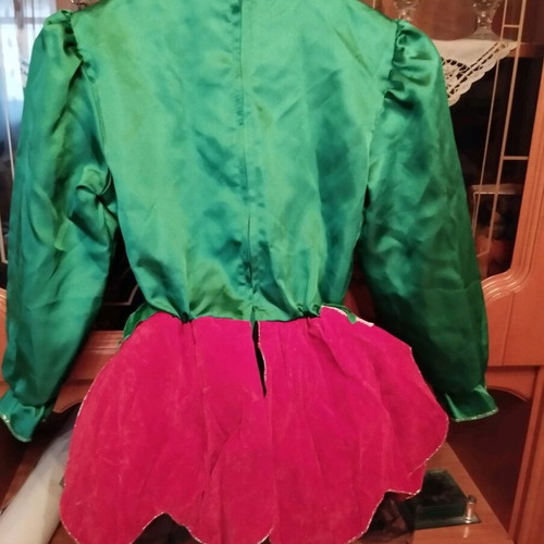 Carnival costume Elf like new
