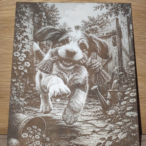 Laser Engraved Picture new, 30x24 cm