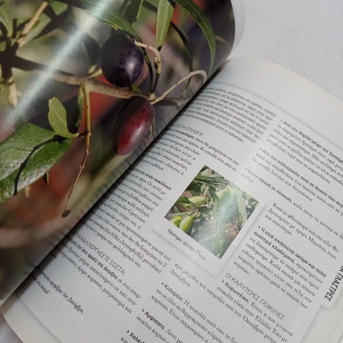 Book Gardening for Everyone Fruits in the Garden & on My Balcony used