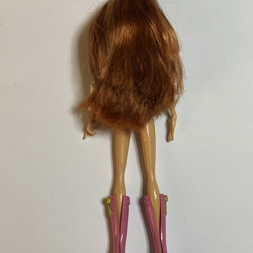 Winx Bloom doll used with wear