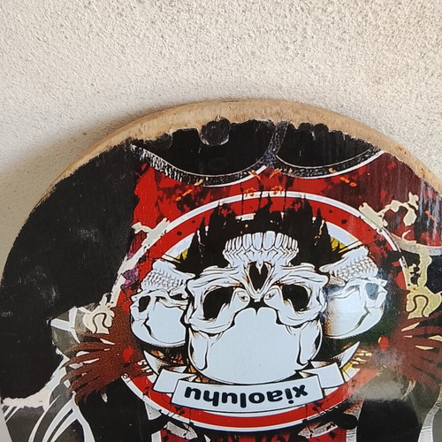 Xiaoluhu skateboard used with rock patina and skulls