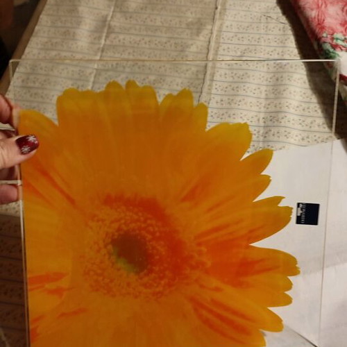 Square decorative LEONARDO crystal plate with gerbera design like new
