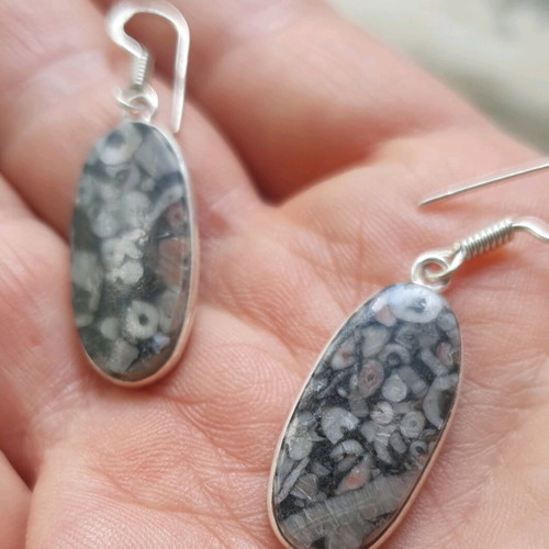 Fossil Crinoid Earrings silver plated 925, new