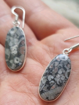 Fossil Crinoid Earrings silver plated 925, new