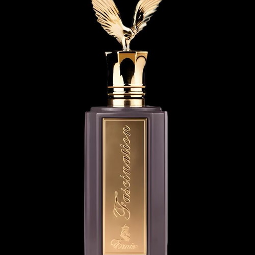 Emir Fascination Paris Corner Eau de Parfum 100 ml