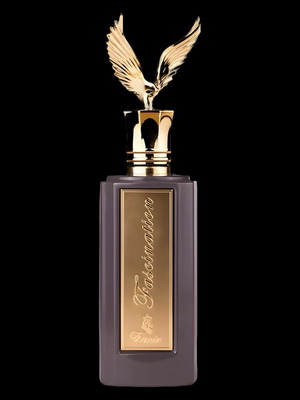 Emir Fascination Paris Corner Eau de Parfum 100 ml