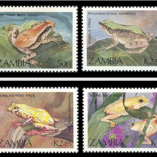 Zambia 1989 Frogs and Toads set new complete series mint luxury