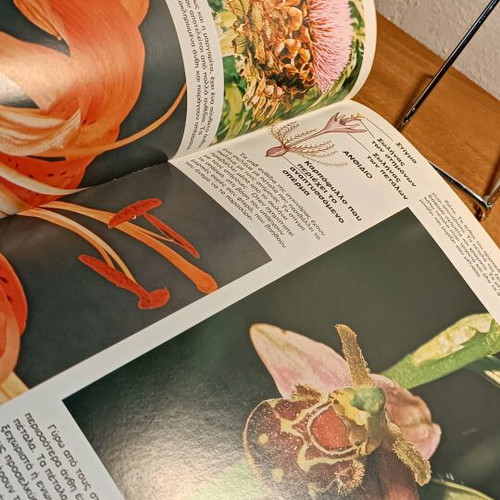 Plants used color thematic encyclopedia “Our World”