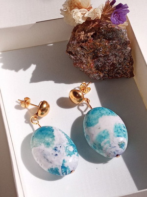 Earrings with Brazilian Agate and Steel, multicolor