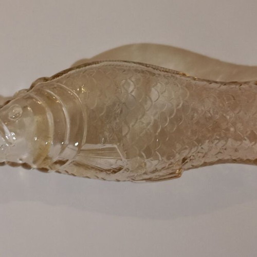 Glass bottle in fish shape used