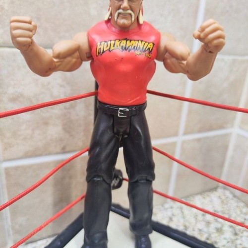 WWE Flex Force Breakdown Ring 2010 with 8 figures