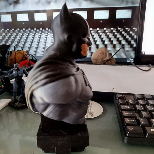 Batman Bust Figure New from NP Studios Reality