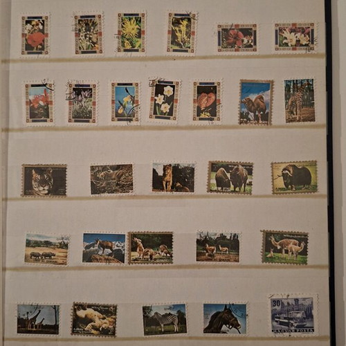 Collection of 100 international stamps like new