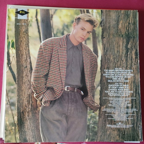 Jason Donovan Ten Good Reasons vinyl used in excellent condition