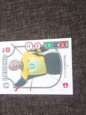 Euro 2024 Schmeichel Legend card